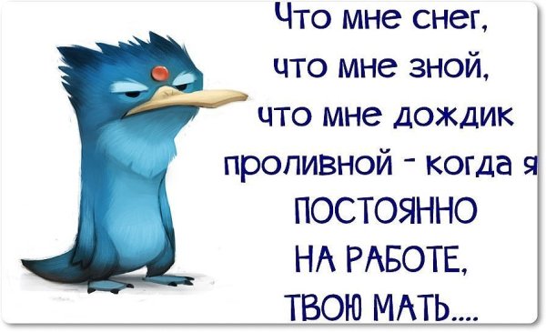 Смешные цитаты про погоду