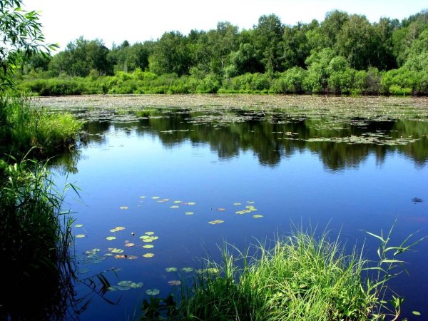 Пресноводные водоемы