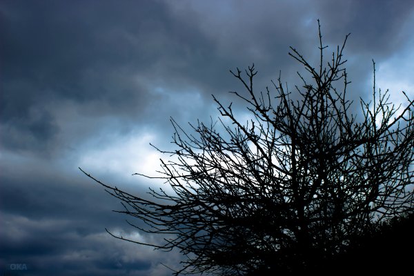 Пасмурная погода Эстетика