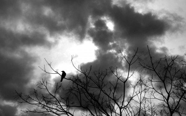 Депрессивное небо