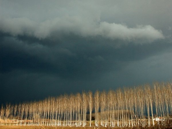 Явления природы 2002