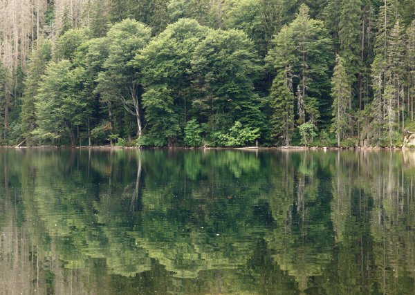 Заповедник Тржебоньско Чехия