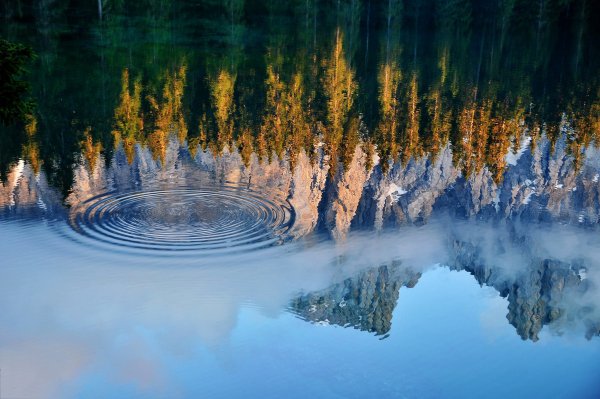 Зеркало воды