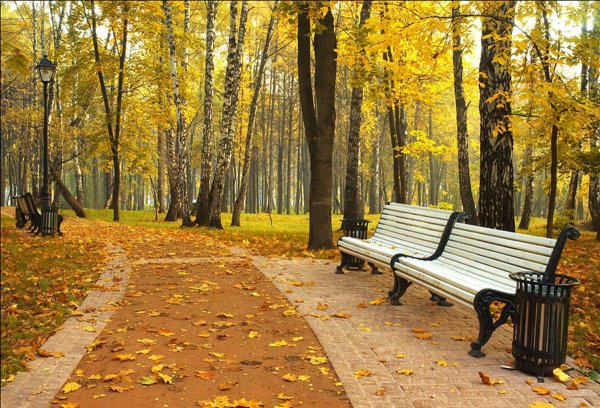 Осень парк скамейка