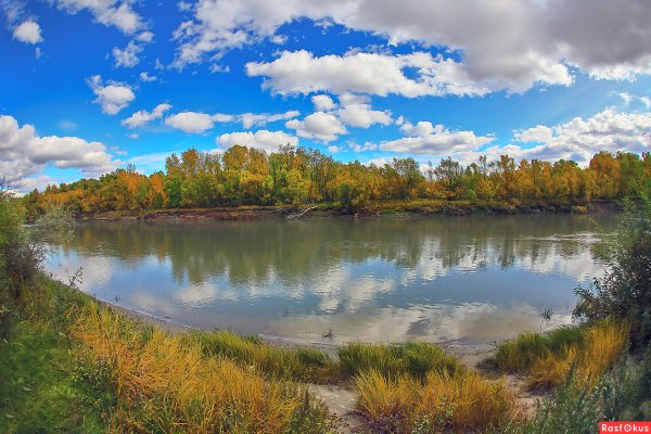 Кудринское озеро Ярославль