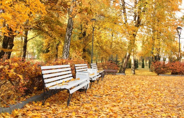 Парк осенью