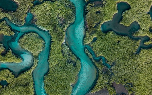 Река вид сверху