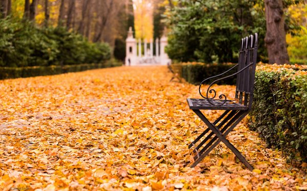 Скамейка осенью