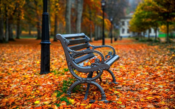 Осенний парк