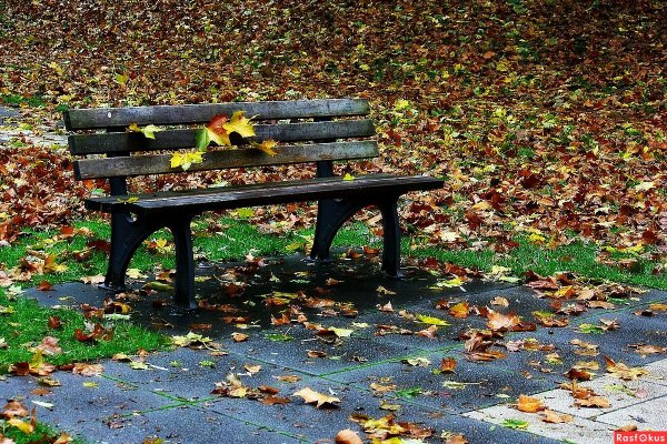 Осень скамейка
