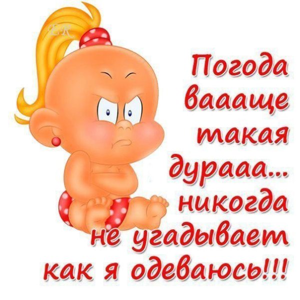 Открытки о погоде прикольные