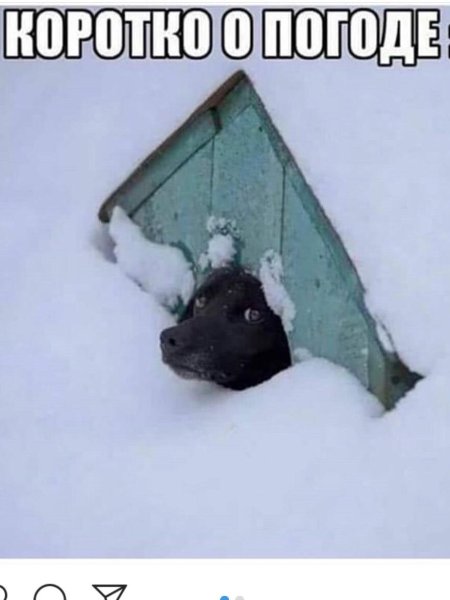 Собака в будке зимой