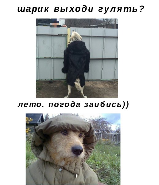 Погодка класс
