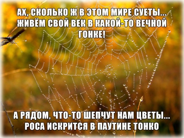 Ах сколько в этом мире суеты живём