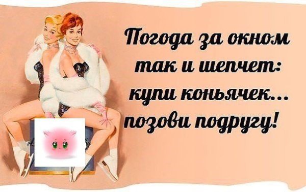 Погода так и шепчет