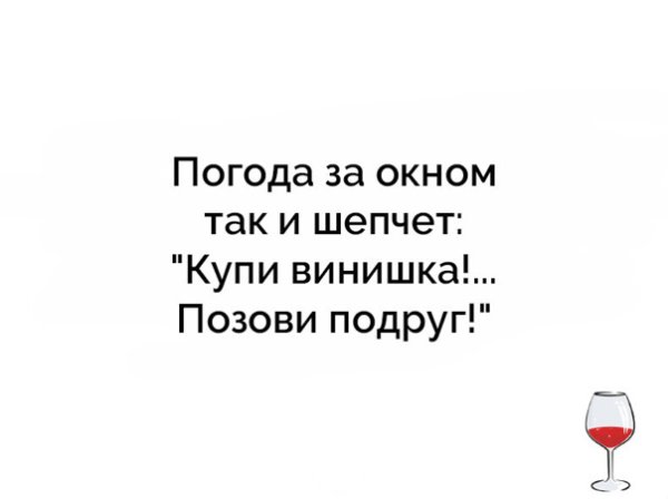 Фразы про винишко смешные