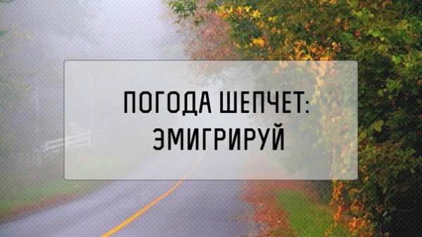 Погода не шепчет