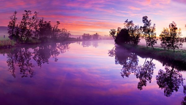 Фиолетовая природа