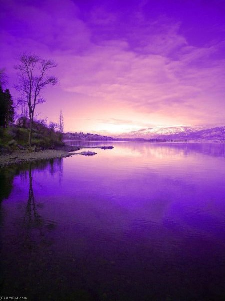 Фиолетовый пейзаж