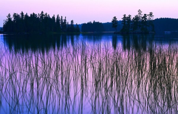 Фиолетовый закат на озере
