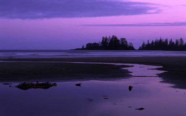 Сиреневые Сумерки