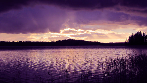 Фиолетовое озеро