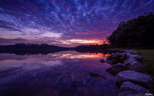 Природа ночью