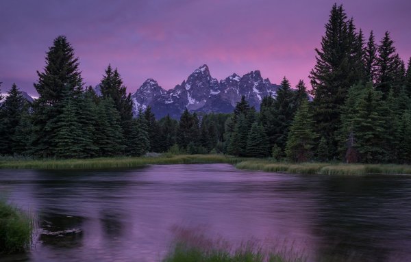 Пейзажи природы