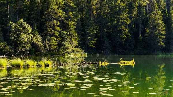Озеро бездонное Солнечногорский район