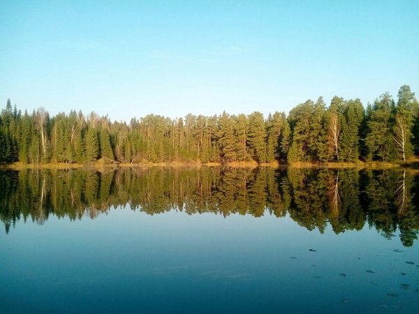 Бездонка Солнечногорск