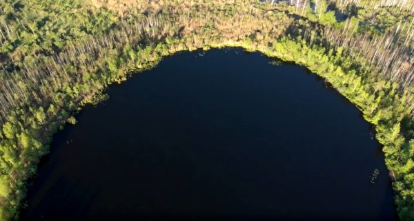 Круглое озеро в Солнечногорске