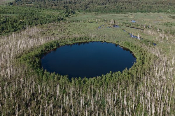 Круглое озеро в Солнечногорске
