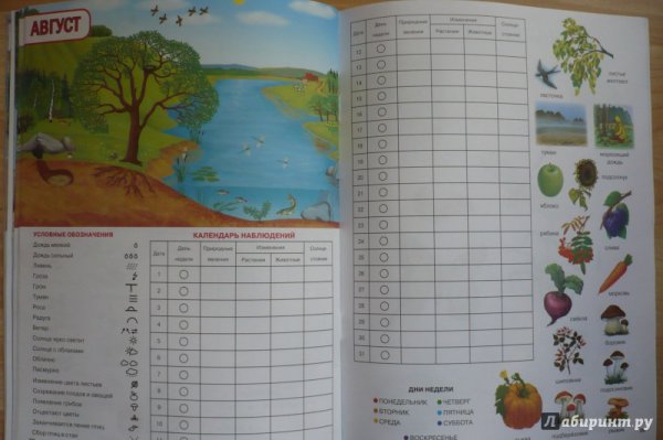Дневник наблюдений за природой