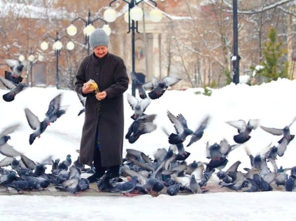 Птицы в парке зимой