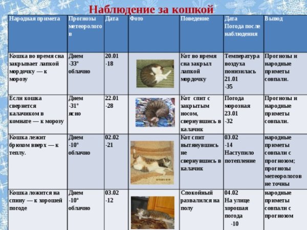 Погодные приметы животных