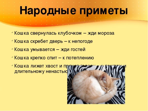 Народные приметы