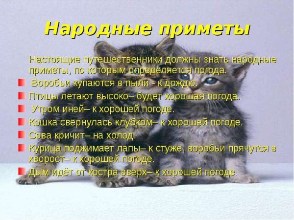 Народные приметы о погоде