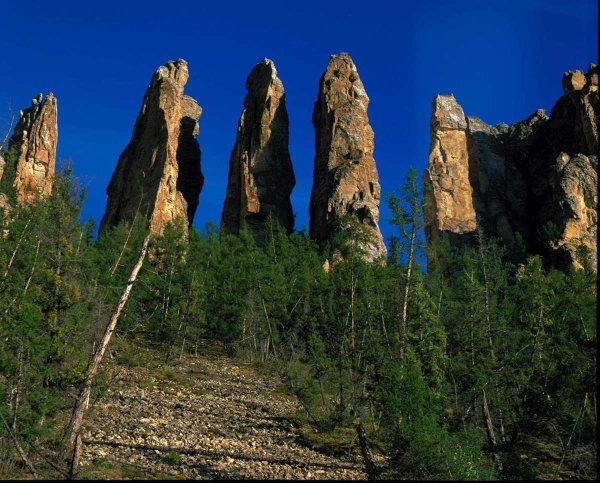 Национальный парк «Ленские столбы» в Якутии (Россия)