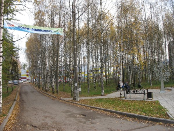 Колесо обозрения Сыктывкар Мичуринский парк