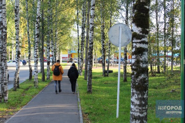 Мичуринский парк городок Сыктывкар