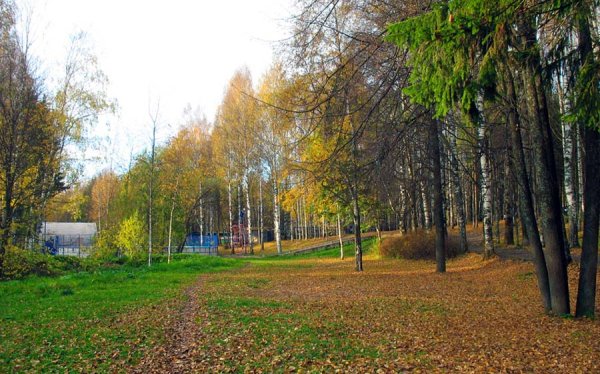 Мичуринский парк Сыктывкар