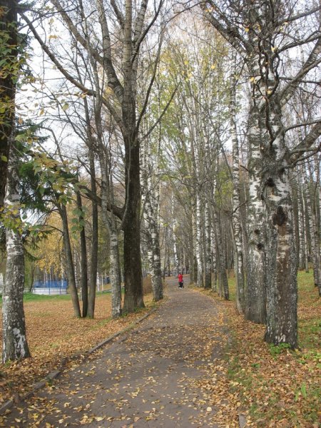 Мичуринский парк Сыктывкар