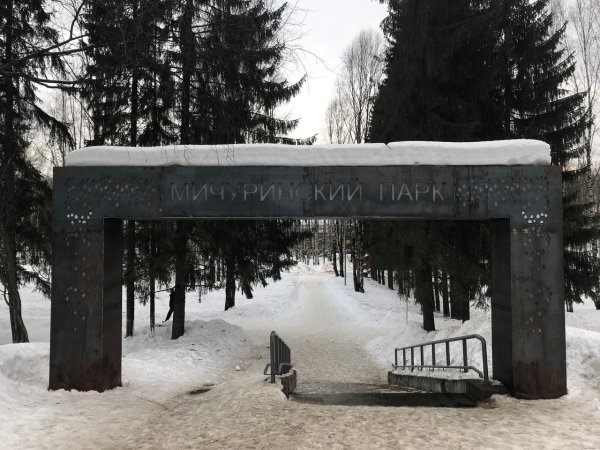 Фото Мичуринского парка