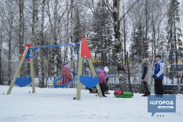 Мичуринский парк Сыктывкар зима