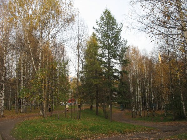 Мичуринский парк осенью Сыктывкар