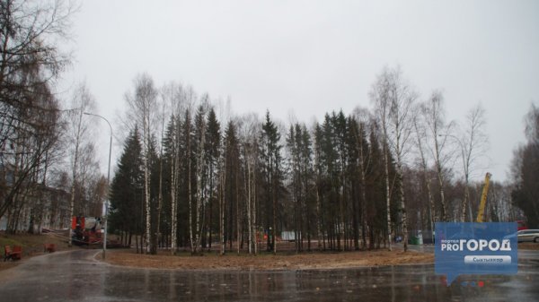 Мичуринский парк Сыктывкар 1985