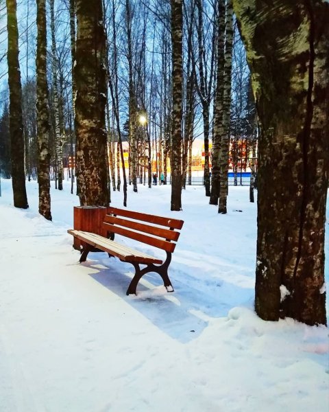 Мичуринский парк