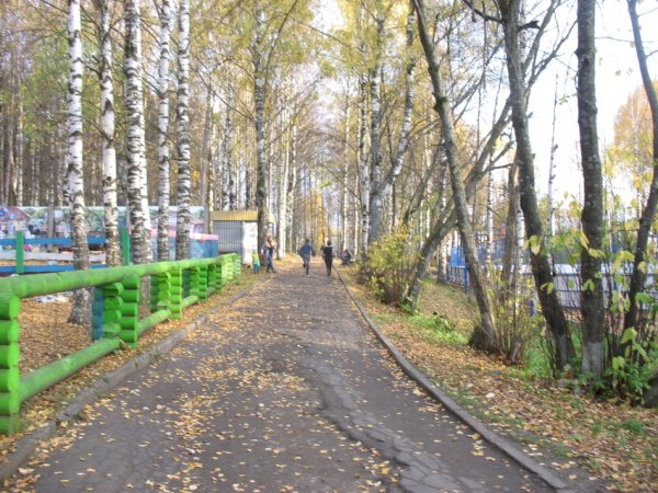 Мичуринский Сыктывкар