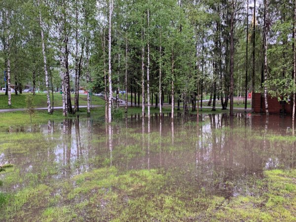 Мичуринский Сыктывкар