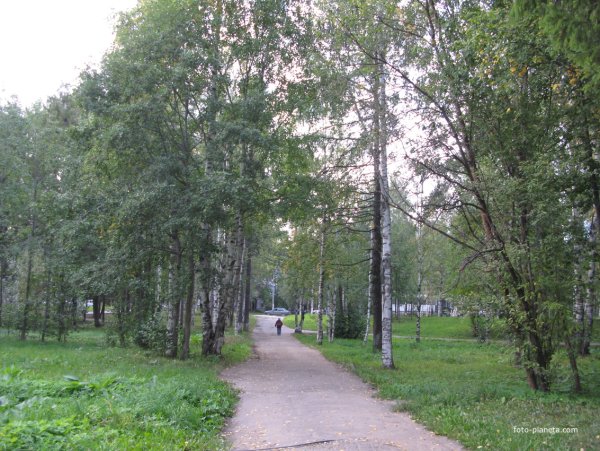 Парк имени Мичурина Сыктывкар